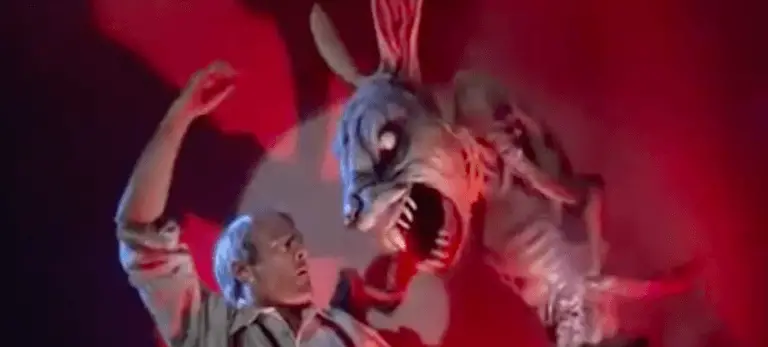 Bunny Movies for Adults β Film Threat