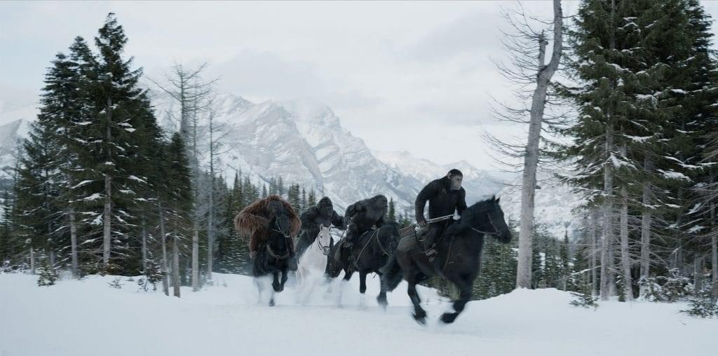 War For The Planet Of The Apes image