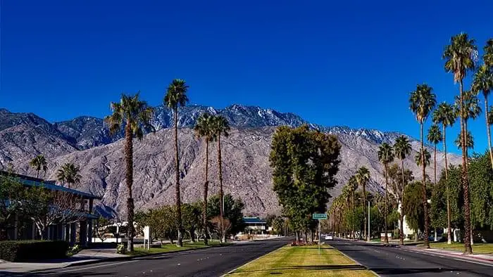 Palm Springs city street with palm trees and mountains during the Palm Springs International Film Festival.