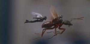 Ant-Man and the Wasp Image