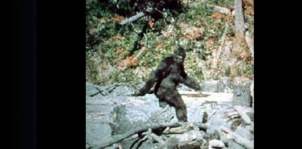 How the World First Met Bigfoot image
