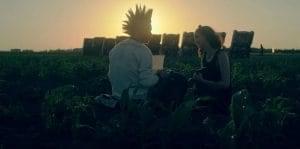 Bomb City Image