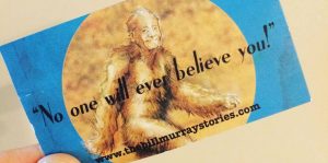 The Bill Murray Stories: Life Lessons Learned from a Mythical Man Image