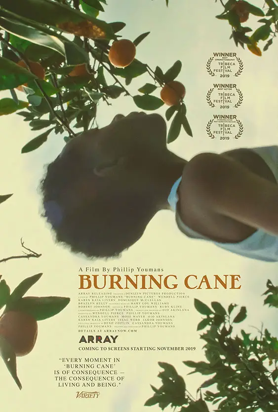 Burning Cane Image