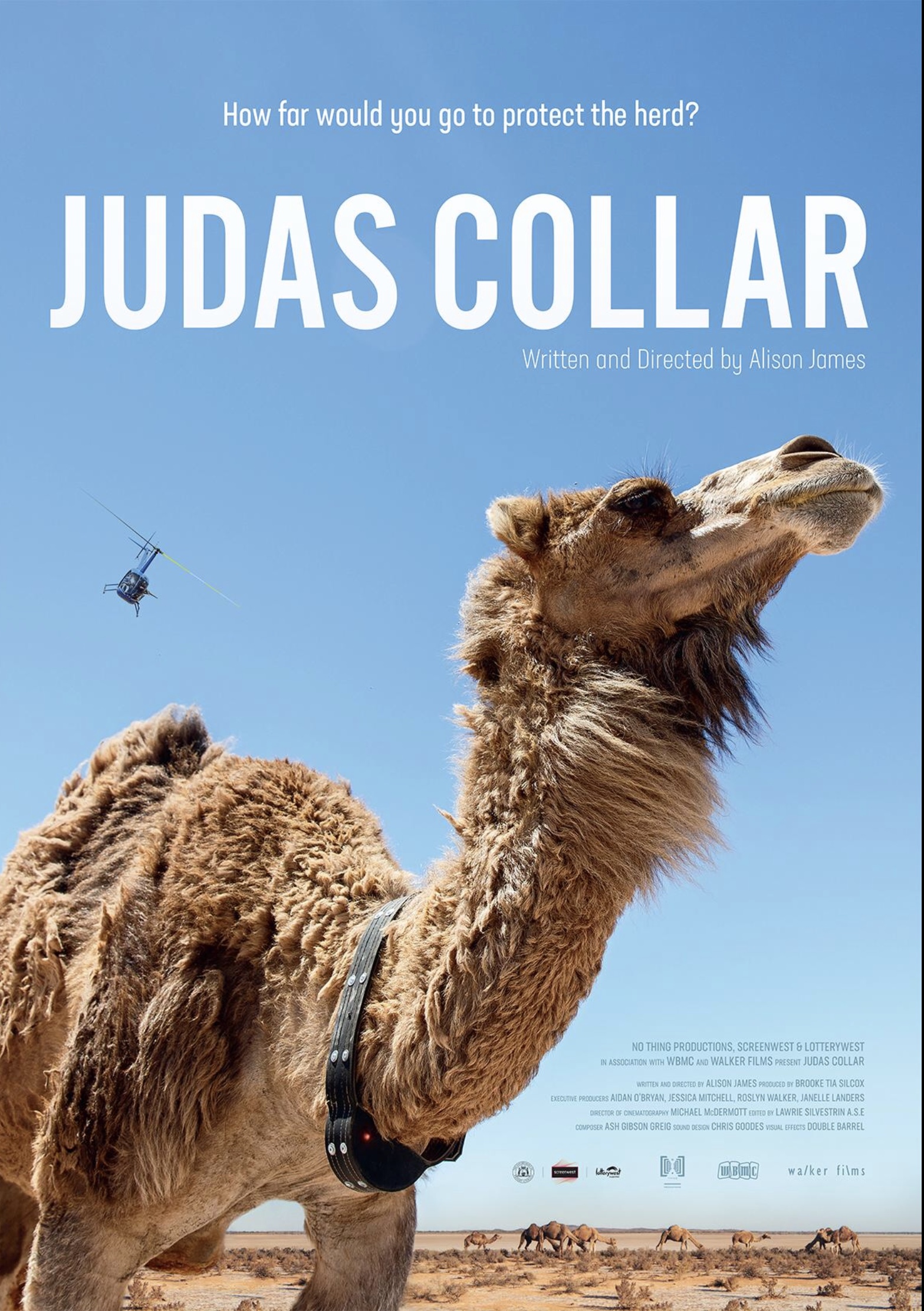 Judas Collar Image