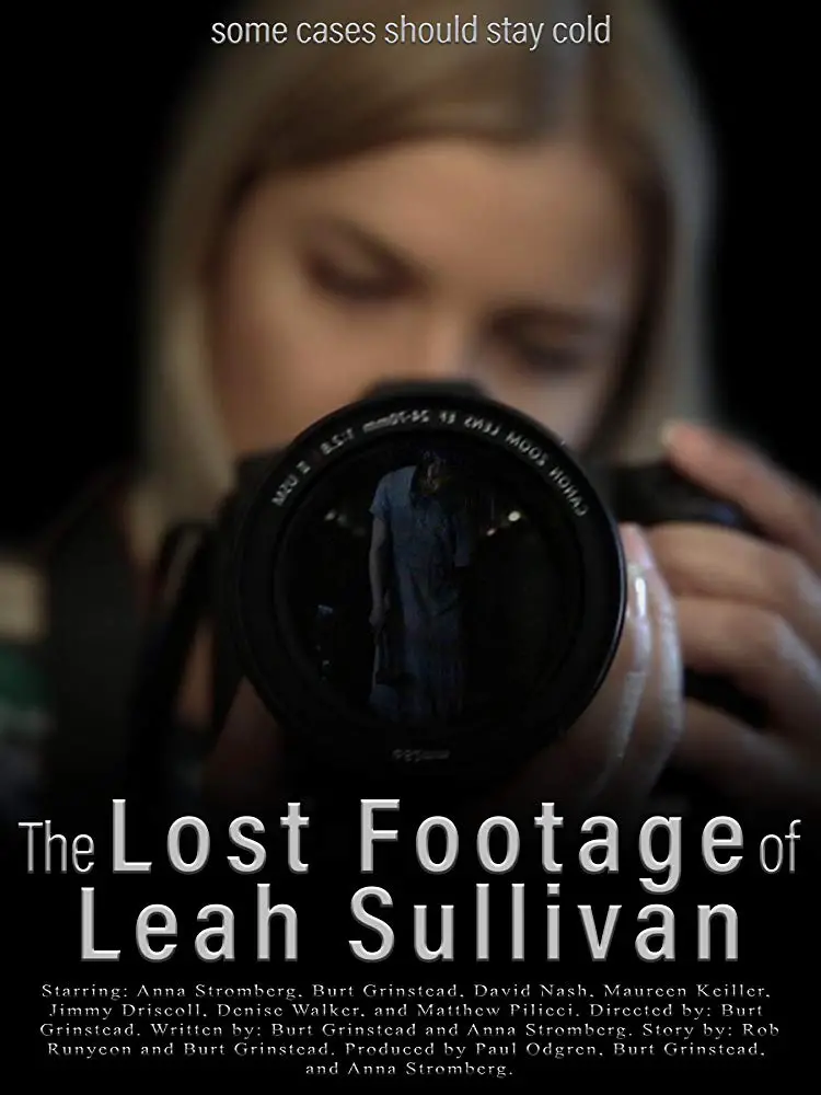 The Lost Footage Of Sullivan Image