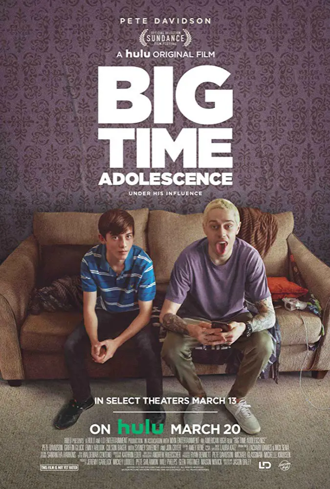 Big Time Adolescence  Image