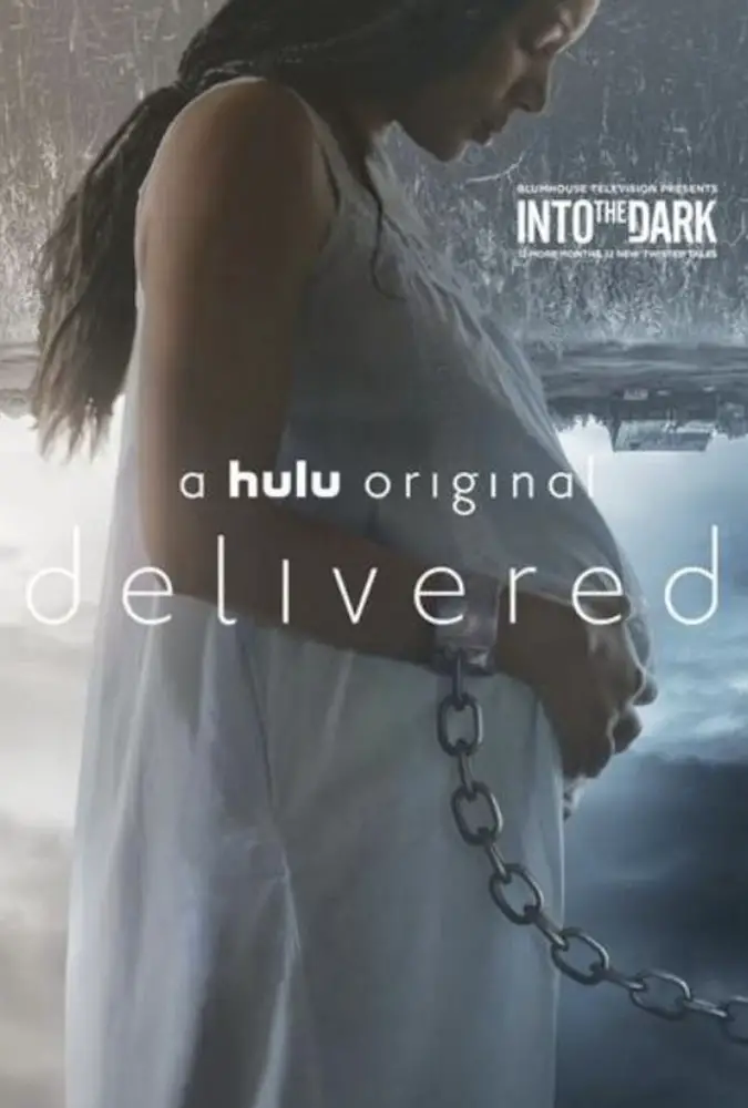 Into The Dark: Delivered Image