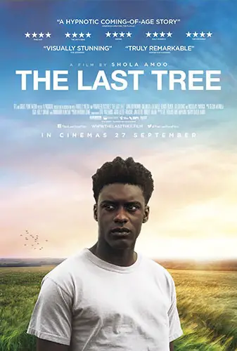 The Last Tree Image