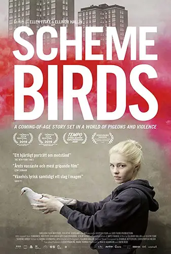 Scheme Birds Image