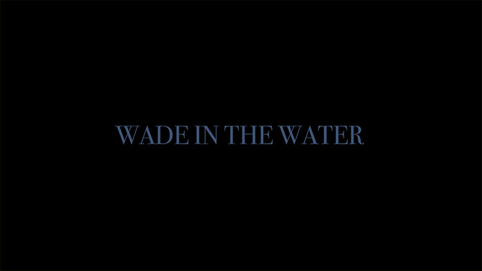 Wade In The Water Image