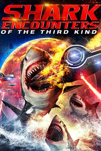 Shark Encounters Of The Third Kind Image