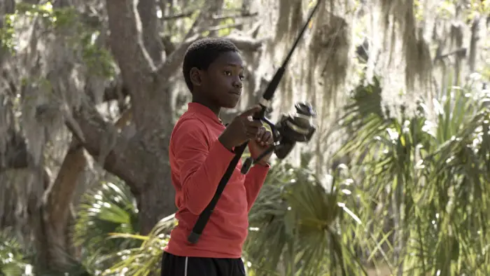 Sapelo Image