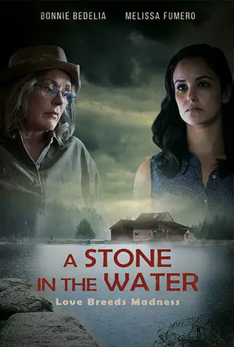 A Stone in the Water Image
