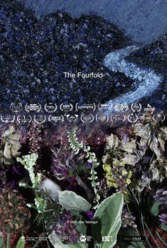 The Fourfold Image