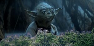 Higher Than Imperial Walker Sn@tch: Pairing Star Wars Weed With Star Wars Movies Image