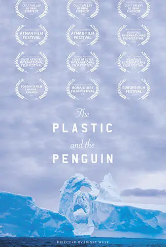 The Plastic & The Penguin Image