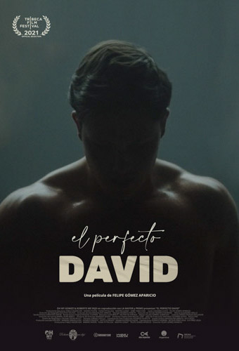 The Perfect David (El Perfecto David) Image