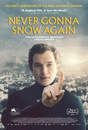 Never Gonna Snow Again Image