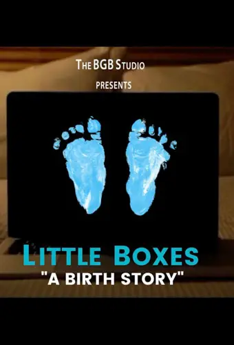 Little Boxes (A Birth Story) Image