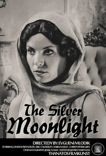 The Silver Moonlight Image