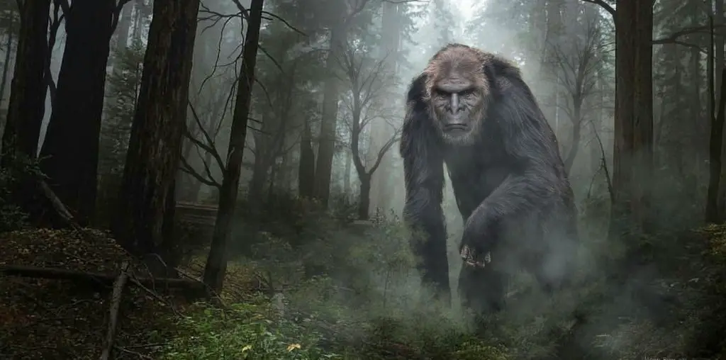 On the Trail of Bigfoot: The Discovery image