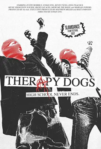 Therapy Dogs Image