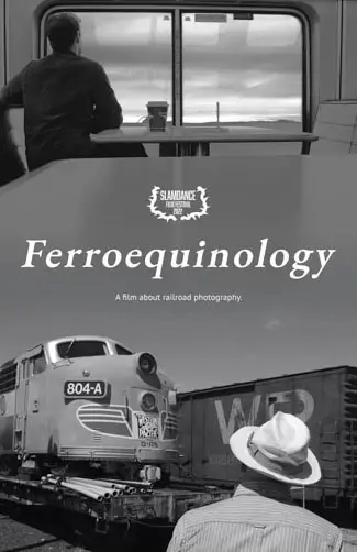 Ferroequinology Image