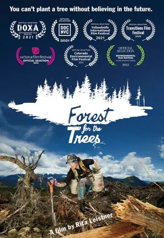 Forest For The Trees Image