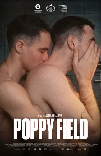 Poppy Field Image