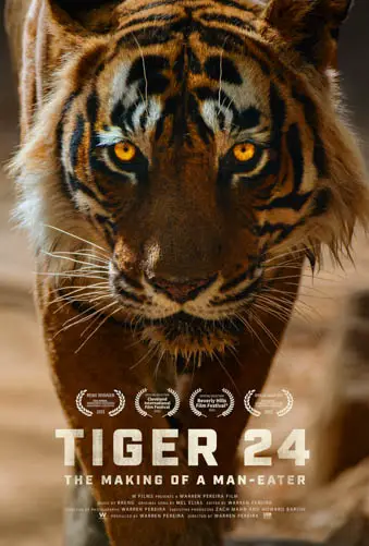 Tiger 24 Image