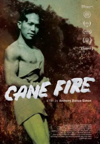 Cane Fire Image
