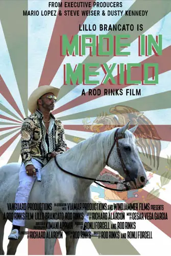 Made in Mexico Image