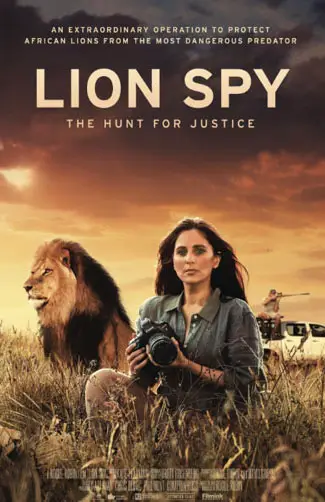 Lion Spy  Image