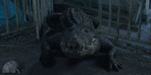 Croc! Image