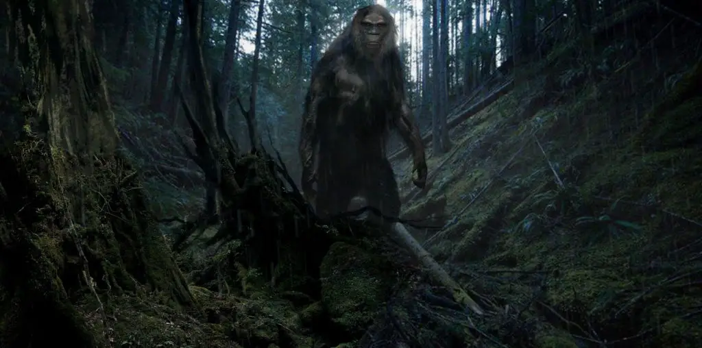 On the Trail of Bigfoot: Last Frontier image