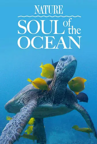 Soul of the Ocean Image