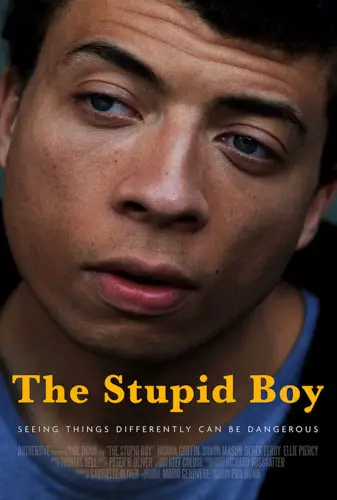 The Stupid Boy Image