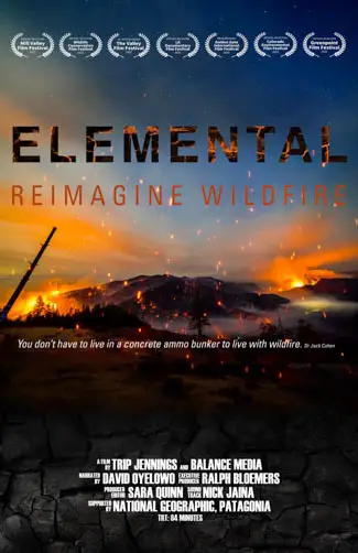 Elemental: Reimagine Wildfire Image
