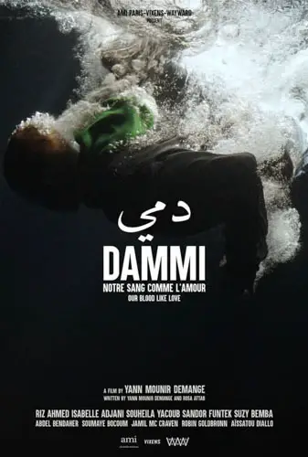 Dammi Image