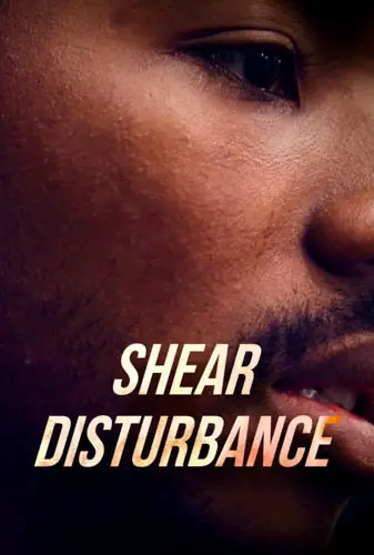 Shear Disturbance Image