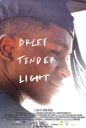 Brief Tender Light Image