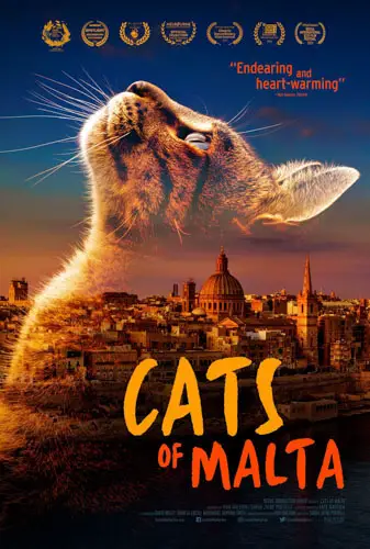 Cats of Malta Image