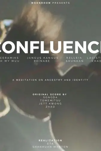 Confluence: A Meditation in Documentary Form Image