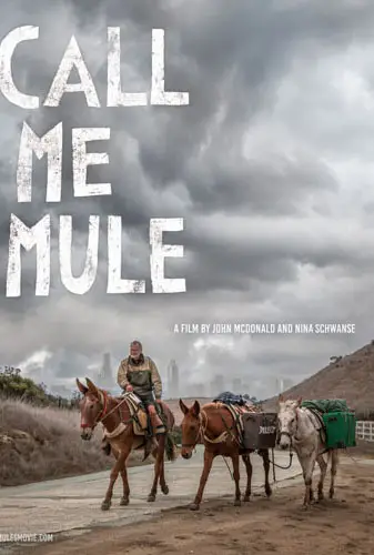 Call Me Mule Image