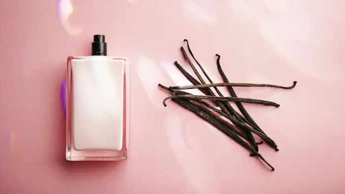 Captivating Characters: How Vanilla Perfume Sets the Scene in Hollywood’s Fragrant Narratives image