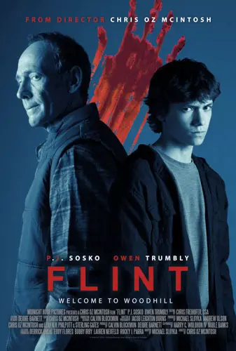 Flint Image