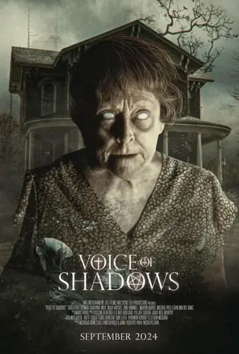 Voice Of Shadows Image