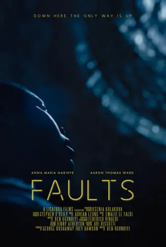 Faults Image