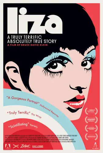 Liza: A Truly Terrific Absolutely True Story   Image